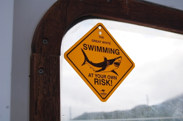 カヤックでの事故を防ぎたい！サメの危険性はどれくらい？
